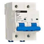 Chint CB-125A MCB