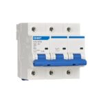 CHINT NXB-125G Miniature Circuit Breaker