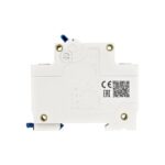 CHINT NXB-125G Miniature Circuit Breaker