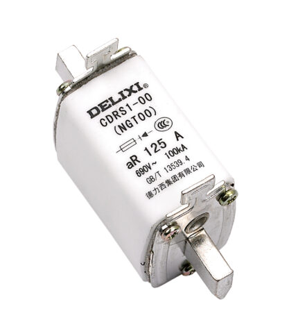 DELIXI CDRS1 (NGT) Fuse For Semiconductor Equipment Protection