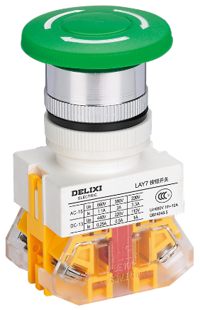 DELIXI LAY7 Push Button Switch