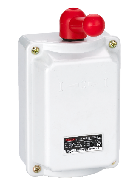 DELIXI QS Series Reverse Switch