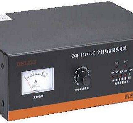 DELIXI ZCD Series Automatic Intelligent Charger